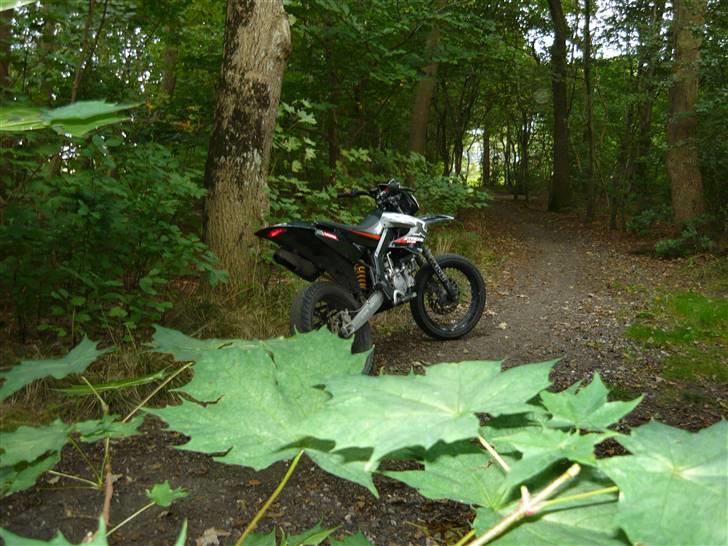Derbi Senda Extreme - SOLGT billede 7