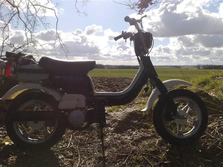 Suzuki FZ50 .:BYTTET:. billede 10