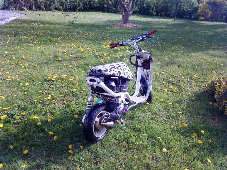 Aprilia Sonic LCE evo2 **SOLGT** billede 2