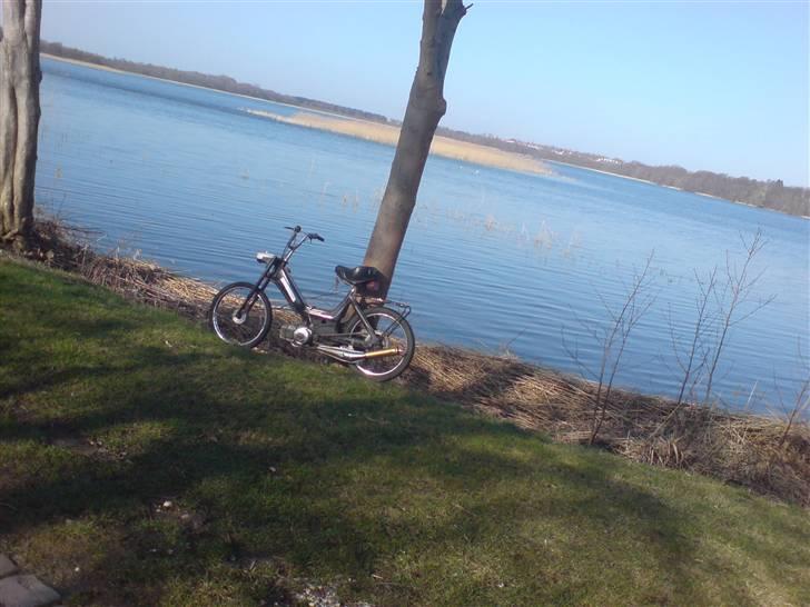 Puch Maxi K billede 1