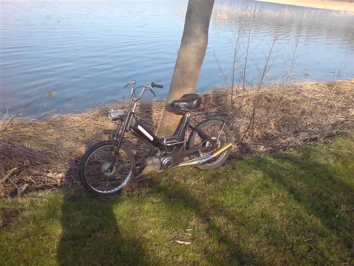 Puch Maxi K billede 2