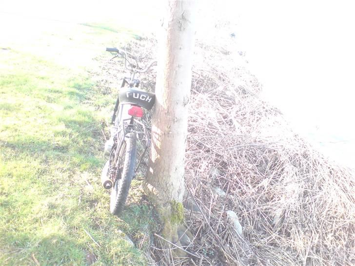 Puch Maxi K billede 5