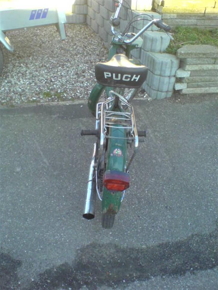 Puch =vilddyret= - gammel billede :) billede 3