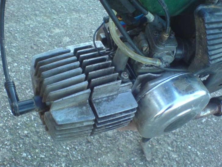 Puch =vilddyret= - gammel billede :) billede 6