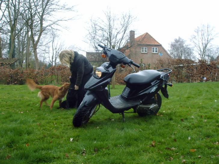 PGO Hot 50     ''Før'' billede 6