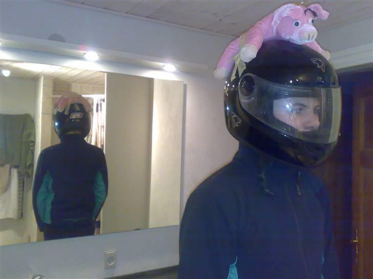 Honda sfx -- solgt - satte gris på hjelm. ;) billede 15