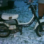 Suzuki fz 50  - SpriTrN (SOLGT)