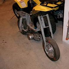 Garelli Katja / projekt /