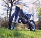 TM 125 ccm -Team Lakkendrup-