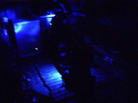 Honda SFX - Solgt - 4 dioder i font, 2 neonrør under og 2 dioder under sædet! billede 10