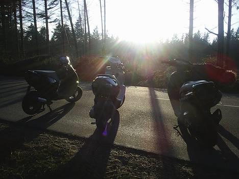 Aprilia Sonic "6800-Guys" - min i midten billede 8