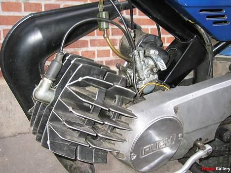 Puch Pioneer billede 5