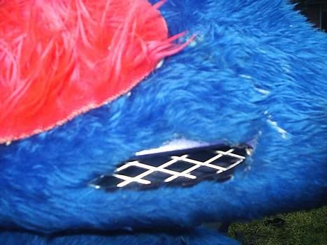 Honda SFX [TeAm-PlyS] SOLGT billede 8