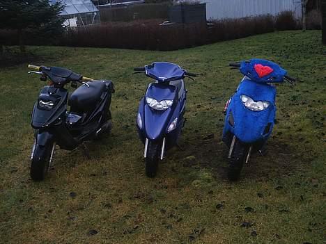 Honda SFX [TeAm-PlyS] SOLGT - Jaah The Viborg Drengene billede 2