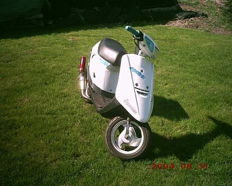 Yamaha Jog fs || Lützow - Uhh... Hun er lækker! billede 1