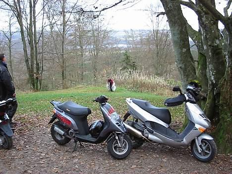 Aprilia Leonardo "Inaktiv" billede 3