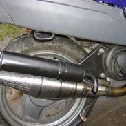 Adly silverfox "SOLGT"