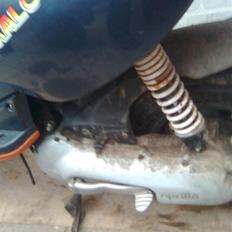 Aprilia Rally (SOLGT)