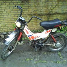 Yamaha sting/sg50 [BYTTET]