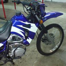 Texas sport 125 