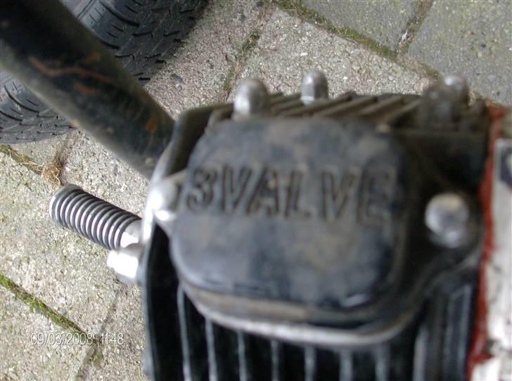 Kinroad prince billede 5