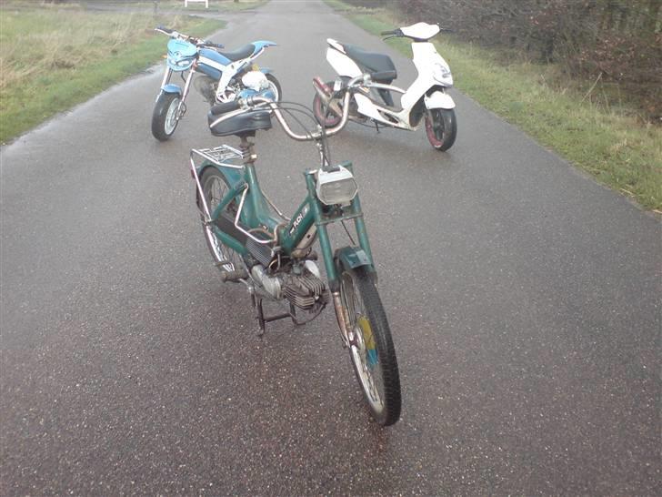 Puch Maxi SoLGt :) billede 1