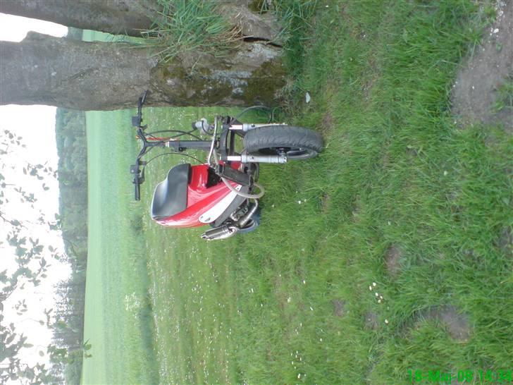 Malaguti F12 TS2 LC DD JHS(solgt) billede 12