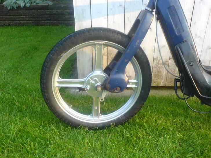 Vespa caio (Væk) billede 7