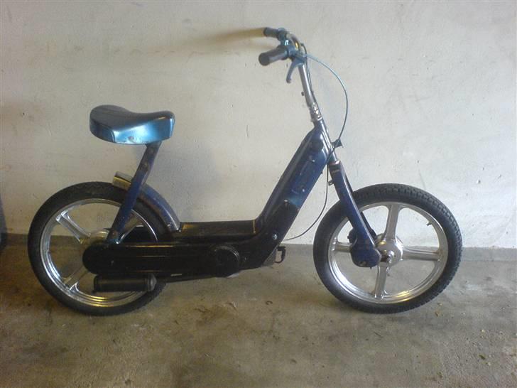 Vespa caio (Væk) billede 8