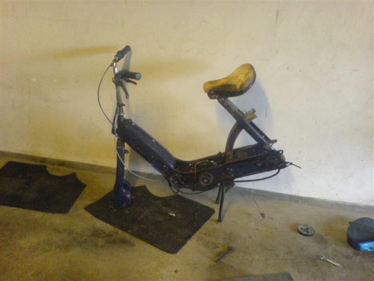 Vespa caio (Væk) billede 9