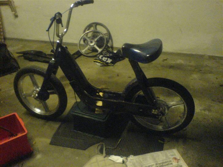 Vespa caio (Væk) billede 10