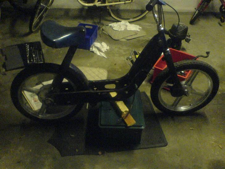 Vespa caio (Væk) billede 12