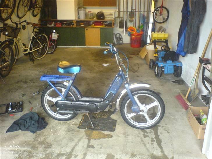 Vespa caio (Væk) billede 13