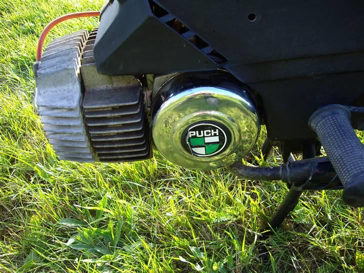 Puch Manet Korado billede 2