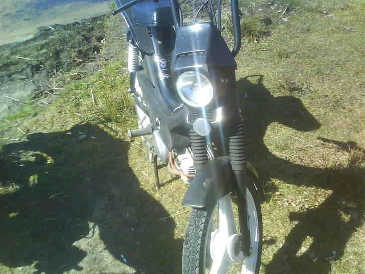 Puch Manet Korado billede 12