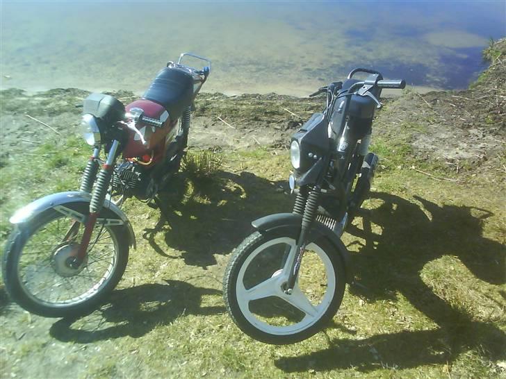 Puch Manet Korado billede 13