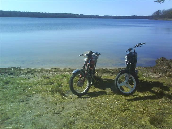 Puch Manet Korado billede 14