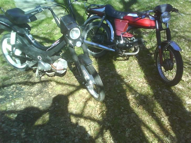 Puch Manet Korado billede 15