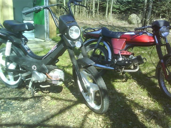 Puch Manet Korado billede 17