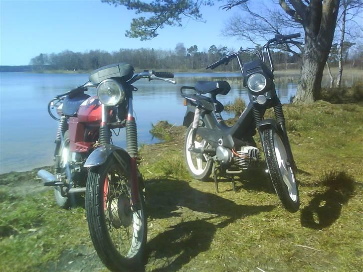 Puch Manet Korado billede 19