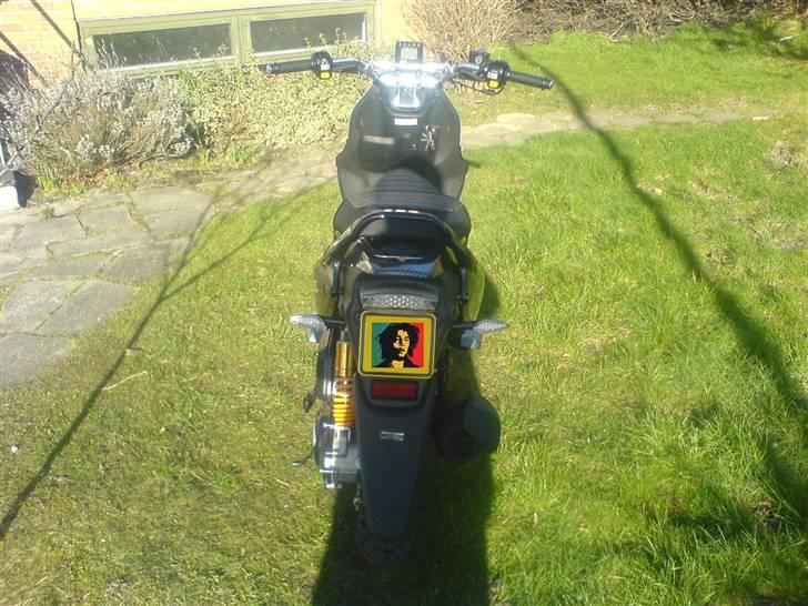 PGO PMX NAKED billede 8