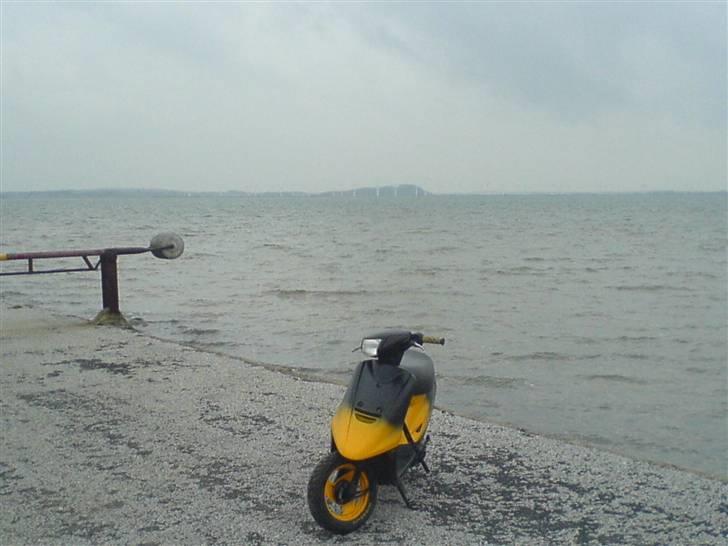 Yamaha Jog Fs (Denne som er lavet om til cykel&scooterhus - Du er satme dejlig!!!<33 billede 14