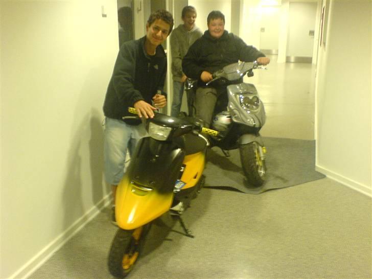 Yamaha Jog Fs (Denne som er lavet om til cykel&scooterhus - Haha Jaé Man kan da også køre indenfor XD billede 19