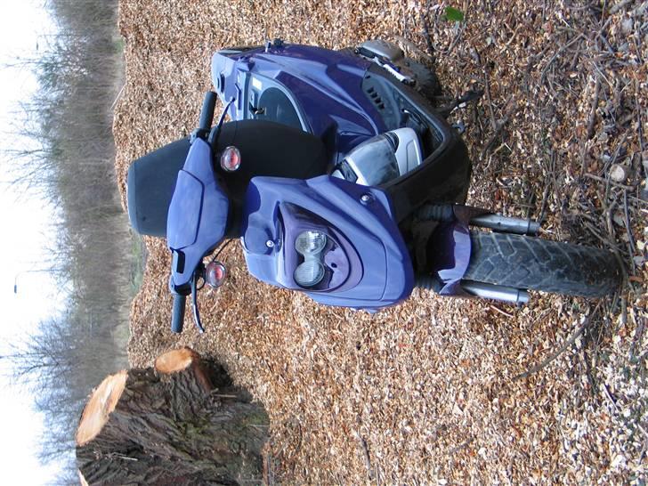 PGO ¤HOTTEN¤ xSOLGTx - ja??.. billede 7