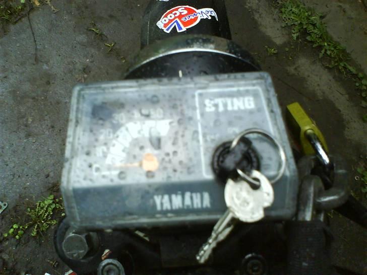 Yamaha sting/sg50 [BYTTET] billede 6