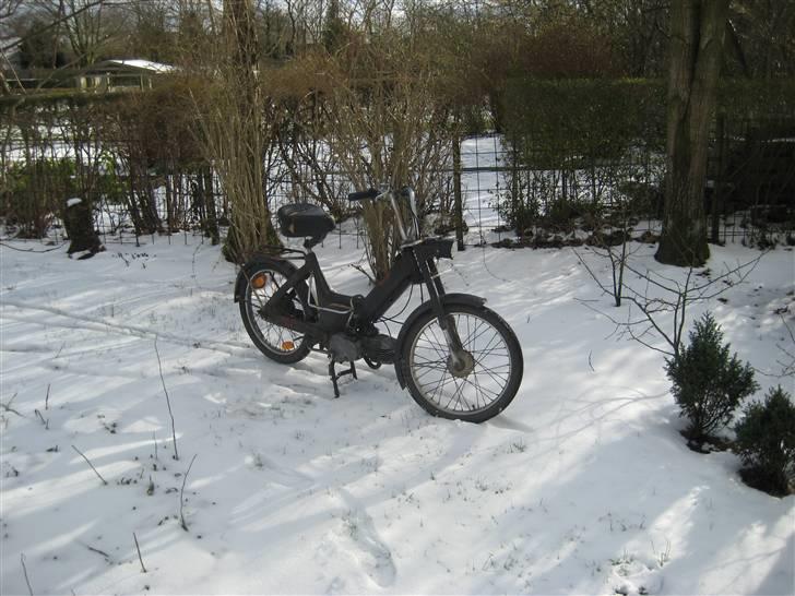 Puch Maxi K billede 1