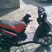 PGO PMX Sport
