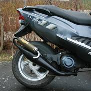 PGO Dr. Big - Malossi MHR