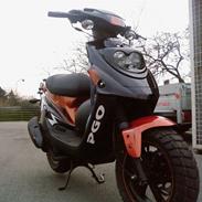 PGO Hot 50