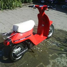 Honda melodi solgt